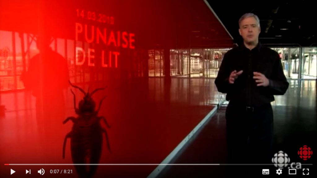 decouverte punaises de lit