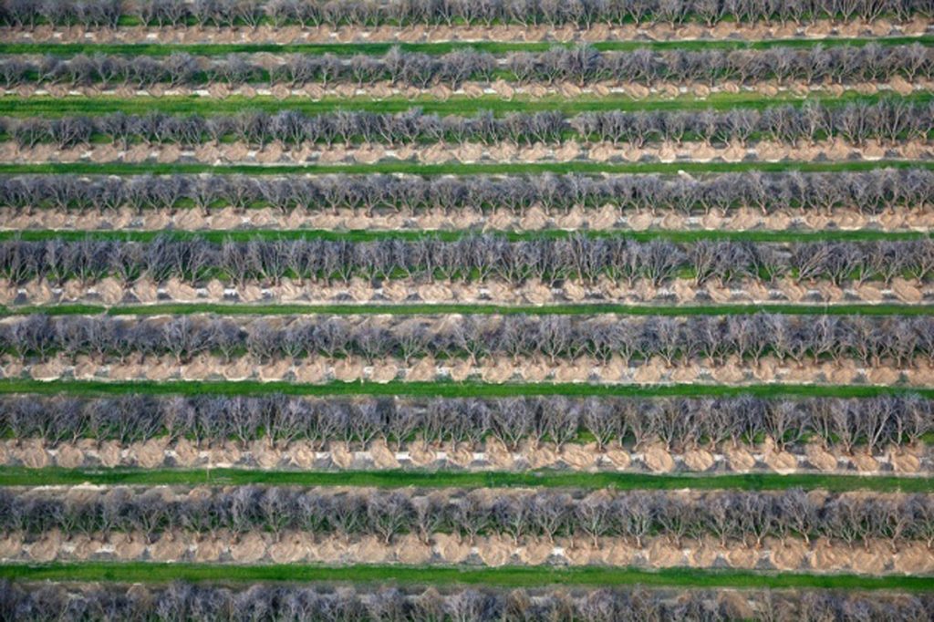 insectes pollinisateurs bien etre humain