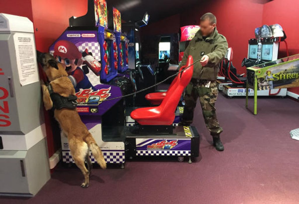 gardes-frontiere suisses gendarmes chiens explosifs