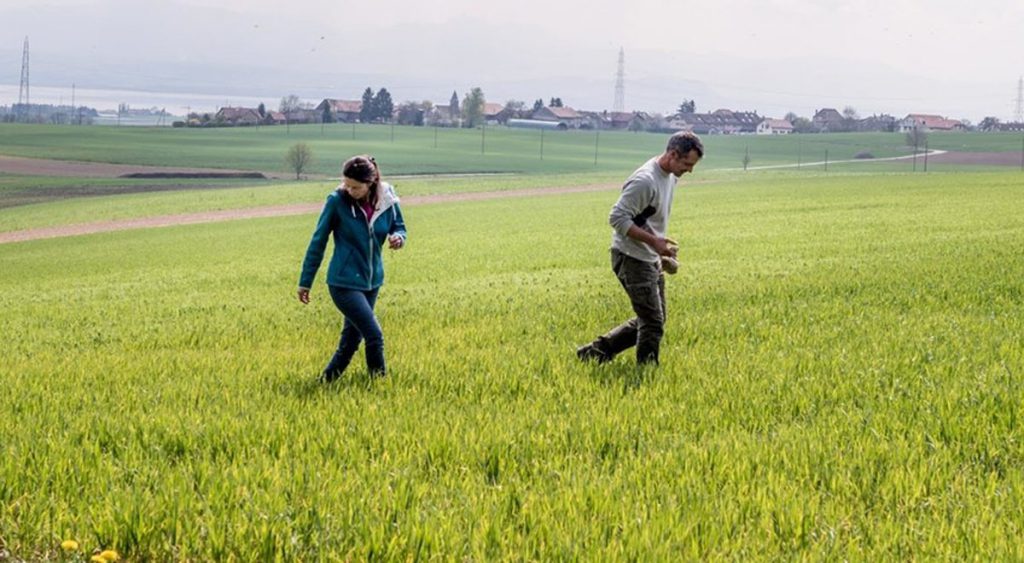 paysan bio combat agriculture nourriture article veille